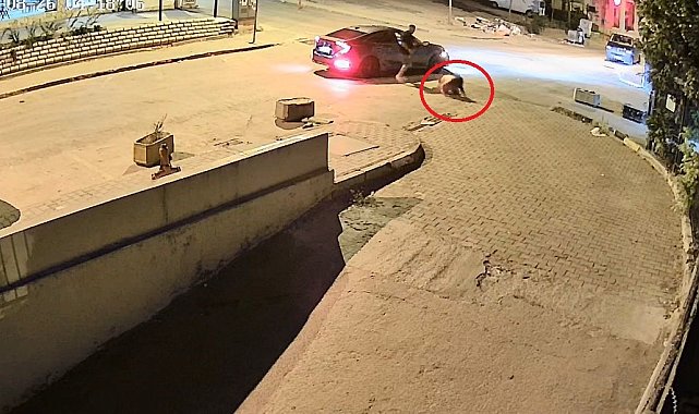 Bursa&#039;da sevgilisini dakikalarca böyle darp etti, çok geçmeden yakalandı