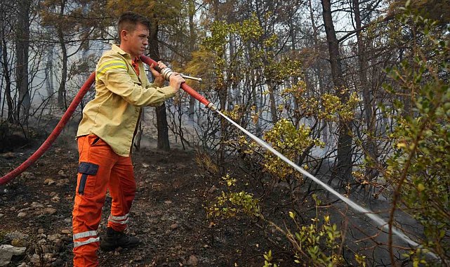 Bursa'daki orman yangını kısmen kontrol altına alındı