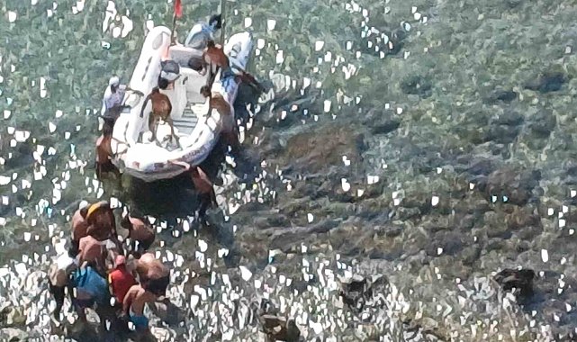 Çanakkale'de 30 metrelik uçurumdan düşen şahıs yaralandı