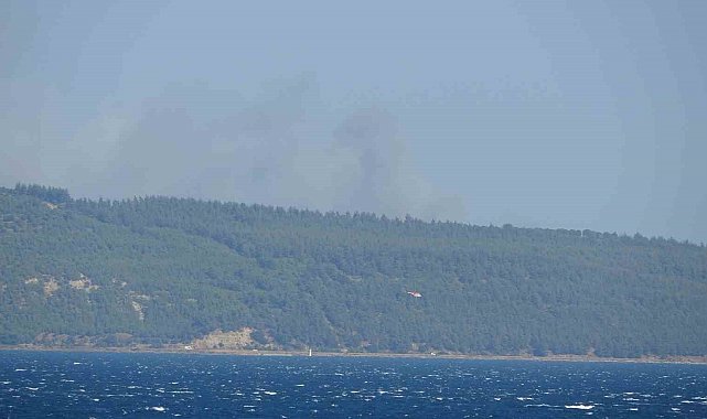 Çanakkale'de orman yangını