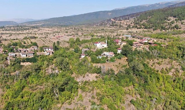 Çankırı'da orman yangını sebebiyle tahliye edilen köylerdeki vatandaşlar evlerine döndü