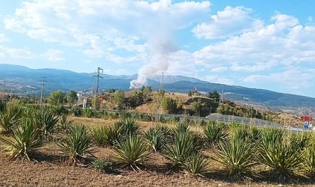 Çankırı'da orman yangını