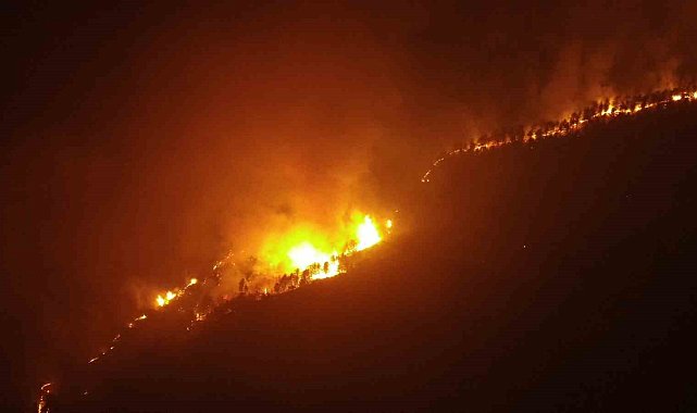 Çankırı'daki yangın 6 saattir sürüyor: Kuvvetli rüzgar müdahaleyi zorlaştırıyor