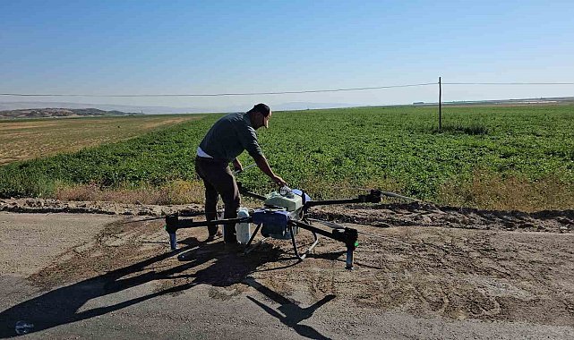 Çiftçiler kurtlanan fasulyeleri için dronla ilaçlama yapıyor