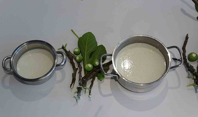 Çoban aşı 'Teleme'nin tarifi Homeros'un 2 bin 750 yıllık İlyada Destanı'nda çıktı