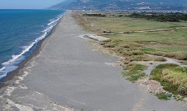 Deniz kaplumbağalarının ölüme yürümemesi için Erol öğretmen nöbette