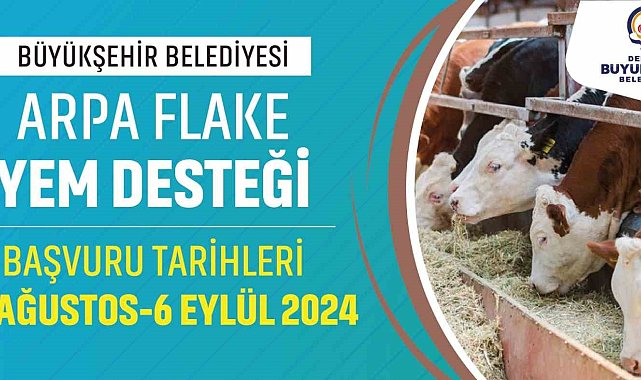 Denizli Büyükşehir büyükbaş hayvan üreticilerine yem desteği sağlayacak