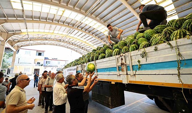 Denizli Büyükşehir tarlada kalan karpuzları halka dağıttı