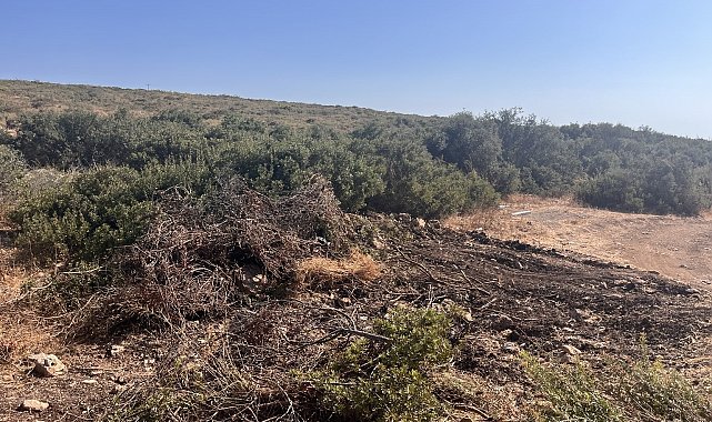 Didim&#039;de hazine arazisinde izinsiz yer açan şahıs jandarmaya takıldı