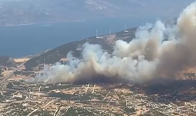 Didim'de makilik alanda yangın