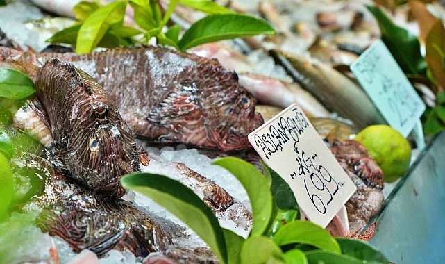 Dikenlerinden eldiven ve makasla ayrılıyor kilogramı 699 liradan restoranlarda servis ediliyor