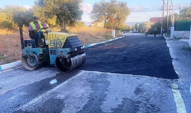 Dilovası'nda asfalt çalışmaları başladı
