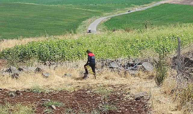 Diyarbakır'da kayıp 8 yaşındaki kız, iz takip köpeği ve dron desteğiyle aranıyor