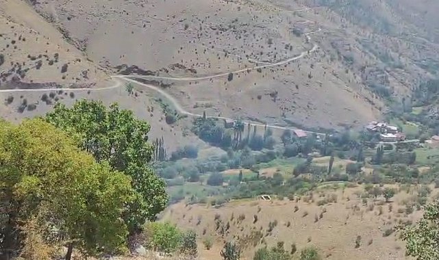 Diyarbakır'da ormanlık alanda çıkan örtü yangını söndürüldü