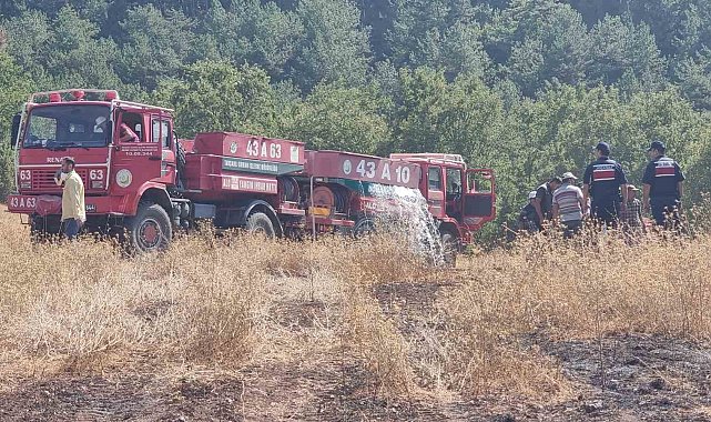 Domaniç'te yıldırım düşmesi sonucu yangın çıktı