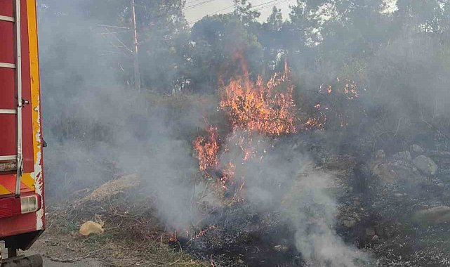 Dörtyol'da çıkan ot yangını itfaiye ekiplerin müdahalesiyle söndürüldü