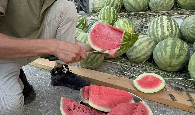 Düzce'de yerli karpuz tezgaha indi
