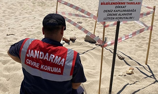 Edirne'de kaplumbağa üreme alanlarına denetim