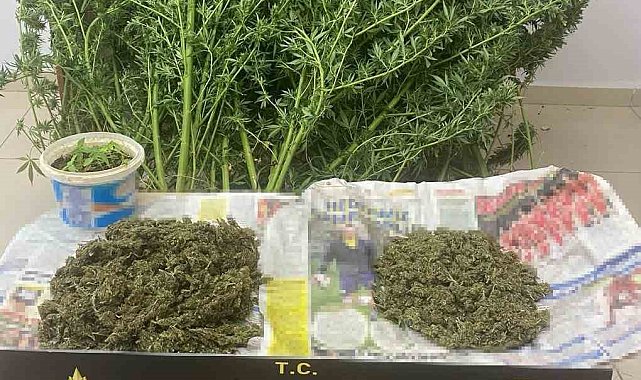 Edirne'de uyuşturucu operasyonu: 2 şüpheli tutuklandı