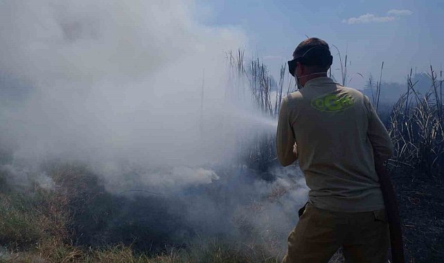 Edirne'de yürekleri ağza getiren yangın