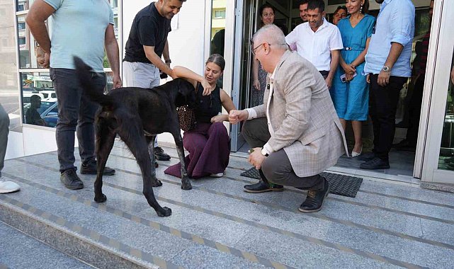 Edremit Belediye Başkanı Ertaş sahipsiz köpeği sahiplendi