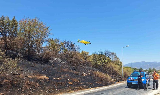 Efes Antik Kenti yakınında korkutan yangın: "8 bin 600 yıllık tarih yok oluyordu"