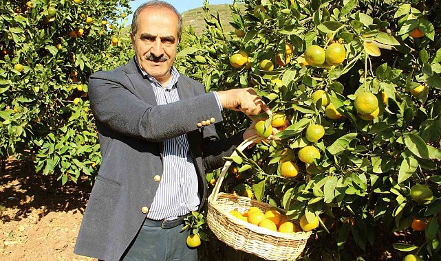 Ege'nin narenciye deposu 'Muğla'