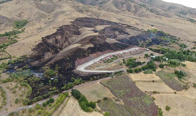 Elazığ'da 200 dönüm alan yangında kül oldu
