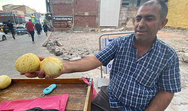 Elazığ'da susuz yetişen Kultik kavunu tezgahlarda