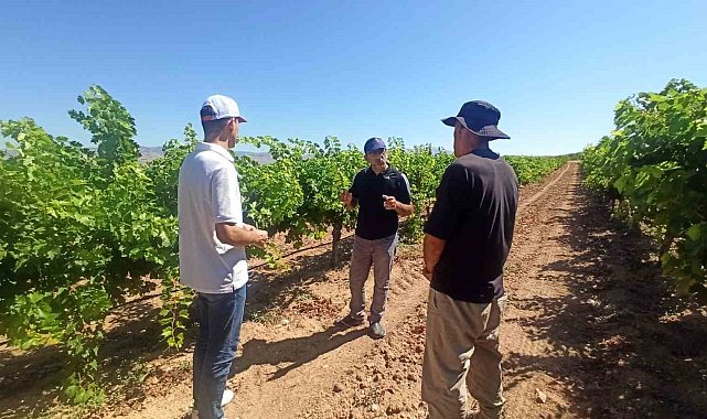 Elazığ'da üreticilere entegre mücadele anlatıldı