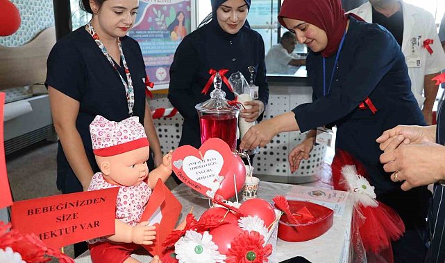 Emzirmenin önemi anlatıldı