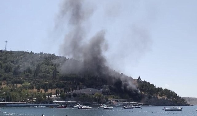 Erdek'te korkutan yangın