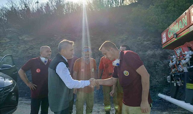 Erdek'teki yangın söndürüldü