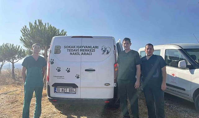 Erdek'teki yangında yaralanan hayvanlara anında müdahale