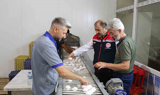 Erzincan&#039;da tam otomatik tesislerde üretilen yumurtalar tarıma değer katıyor