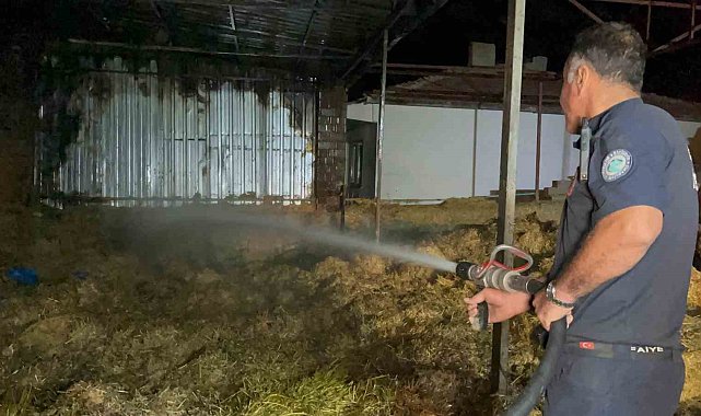 Eskişehir&#039;de samanlık yangını: 2 bin balya saman ve 1 traktör küle döndü