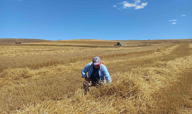 Eskişehir'de yapılan sıkı denetimlerle hububatta dane kaybı yüzde 1'in altına düşürüldü