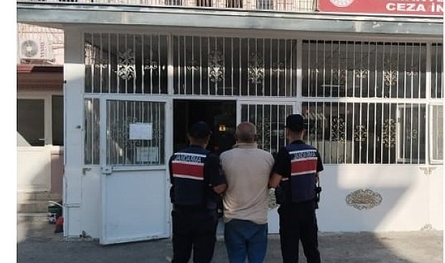 Fıstık hırsızlığına jandarmadan suçüstü: 3 tutuklama