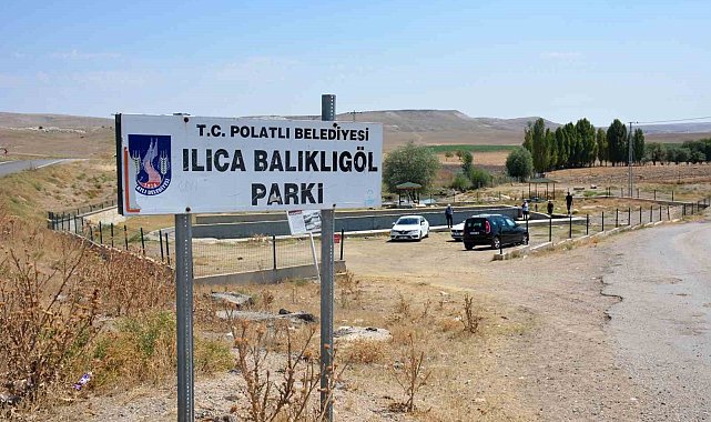 Gazi balıklar yok olma tehditi altında