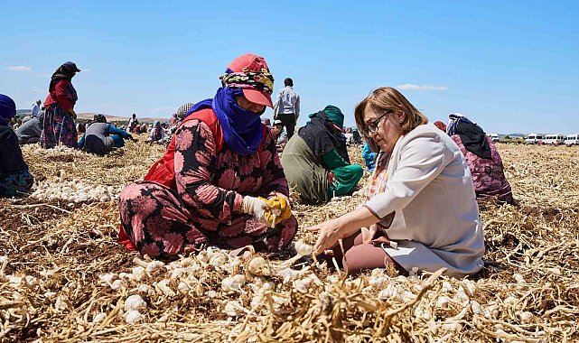 Gaziantep'te "Haydi Tarladan Sofraya" projesi ile çiftçi ile tüketici buluşturulacak