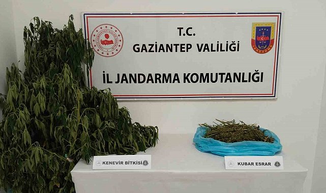 Gaziantep'te uyuşturucu operasyonu: 1 gözaltı