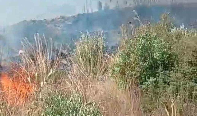 Gazipaşa'da bahçede çıkan yangın ekiplerinin müdahalesiyle söndürüldü