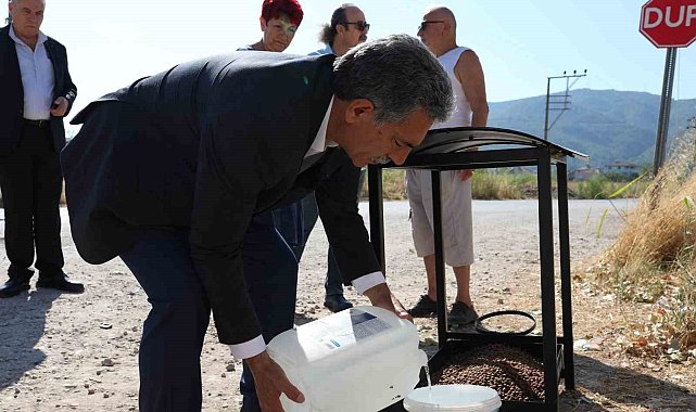 Gemlik Belediyesi'nde sokak hayvanları için seferberlik