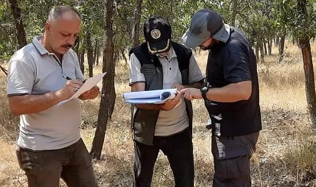 Gölbaşı'nda ormanların sağlığı araştırılıyor