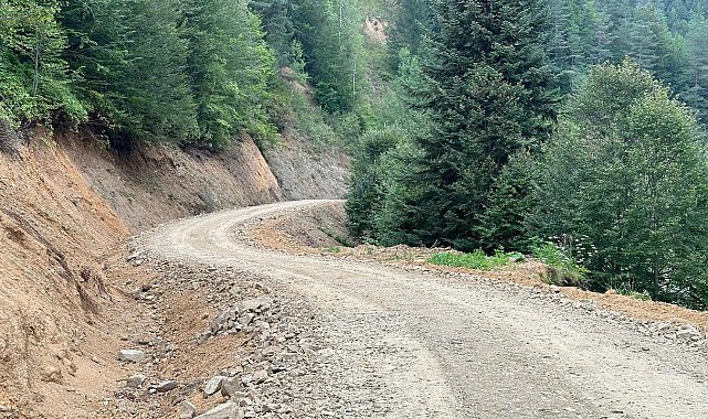 Gölyaka'da 20 kilometre orman yolu üst yapısı tamamlandı