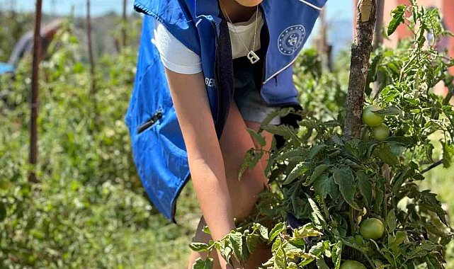 Gönüllü gençler ekip büyüttükleri mahsulleri ihtiyaç sahiplerine dağıttı