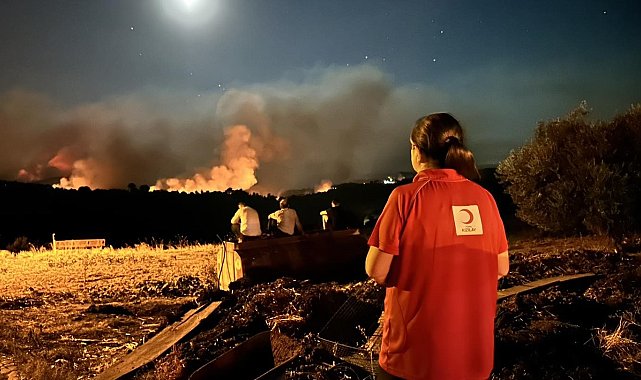 Gördes'teki 2 orman yangını devam ediyor