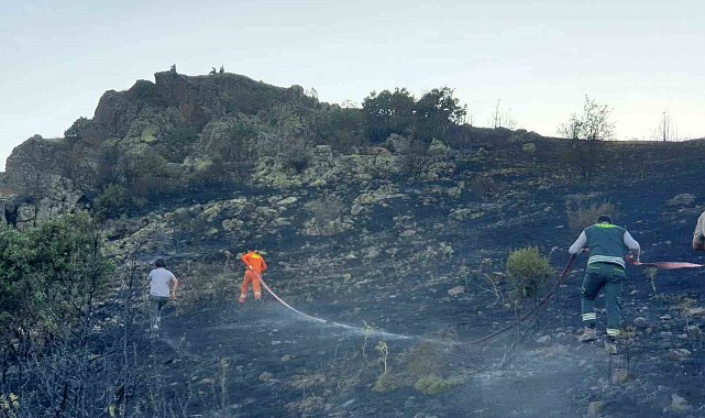 Gümüşhane'de çıkan yangında 20 hektarlık alan zarar gördü