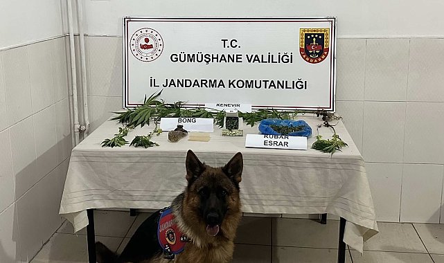 Gümüşhane'de Jandarma ekipleri aranan şahsı çatıda yakaladı