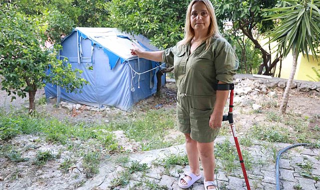 Gurbetçi kadının ilk misafirleri yaban domuzu sürüsü oldu